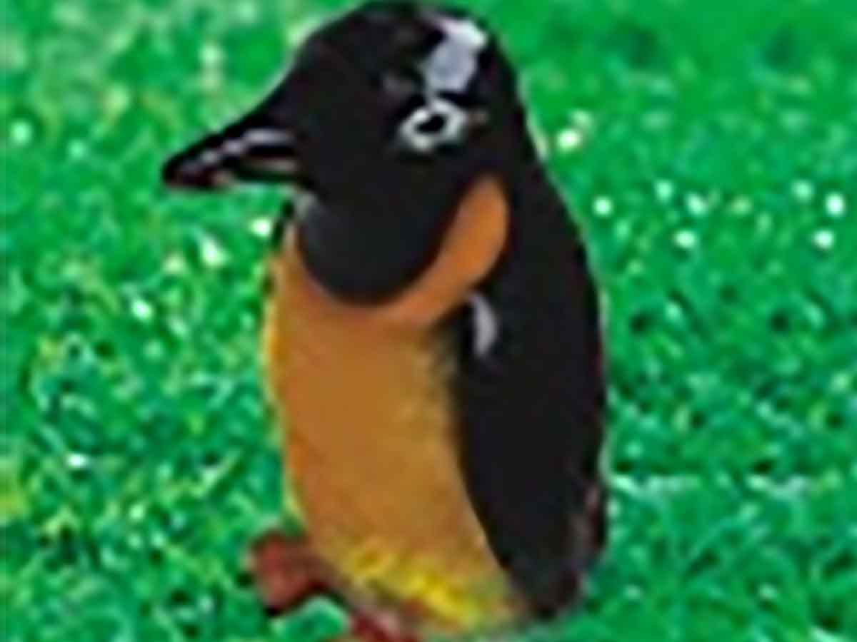 ݵ