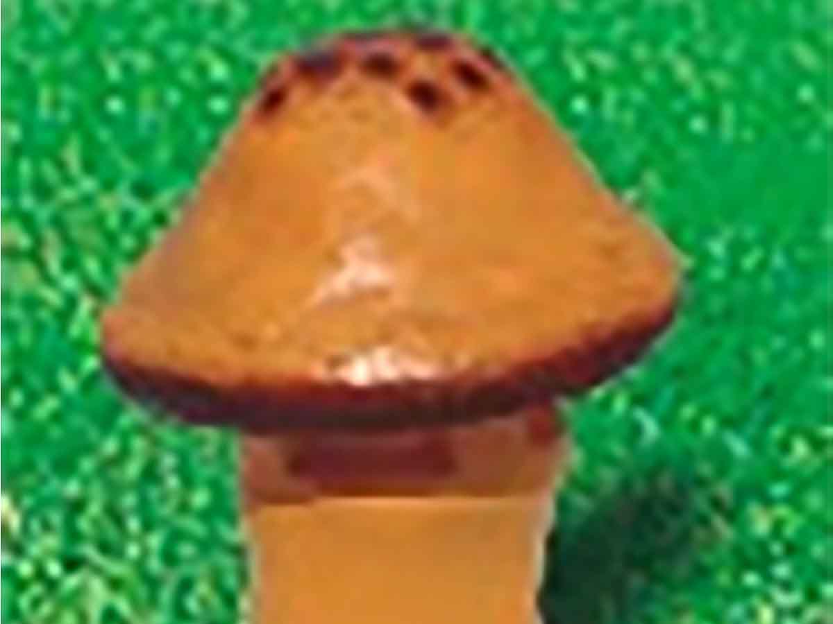 ݵ
