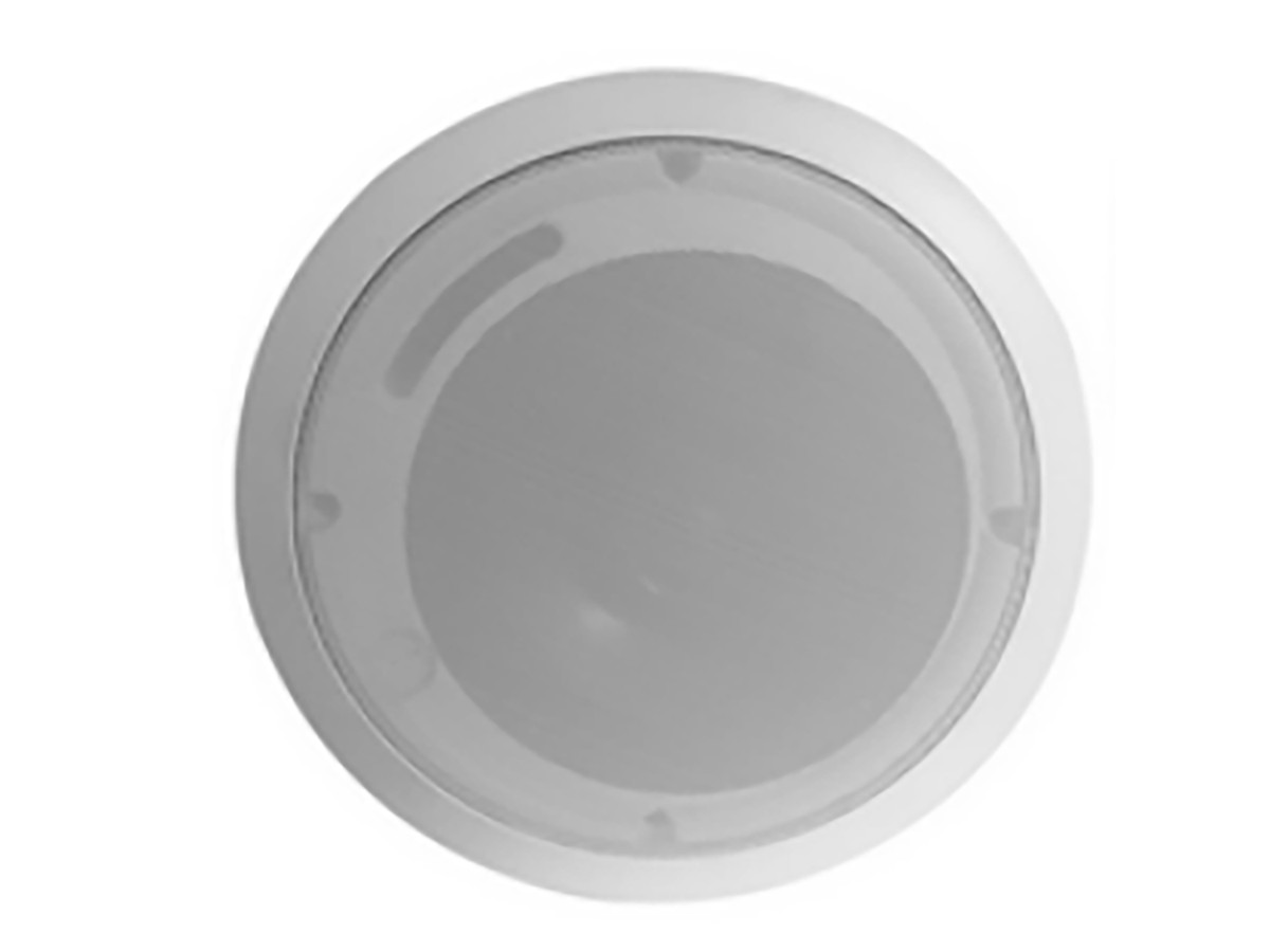 ������Ƶ��������